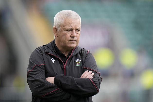 Mike Phillips launches X-rated attack on under-fire Wales head coach Warren Gatland