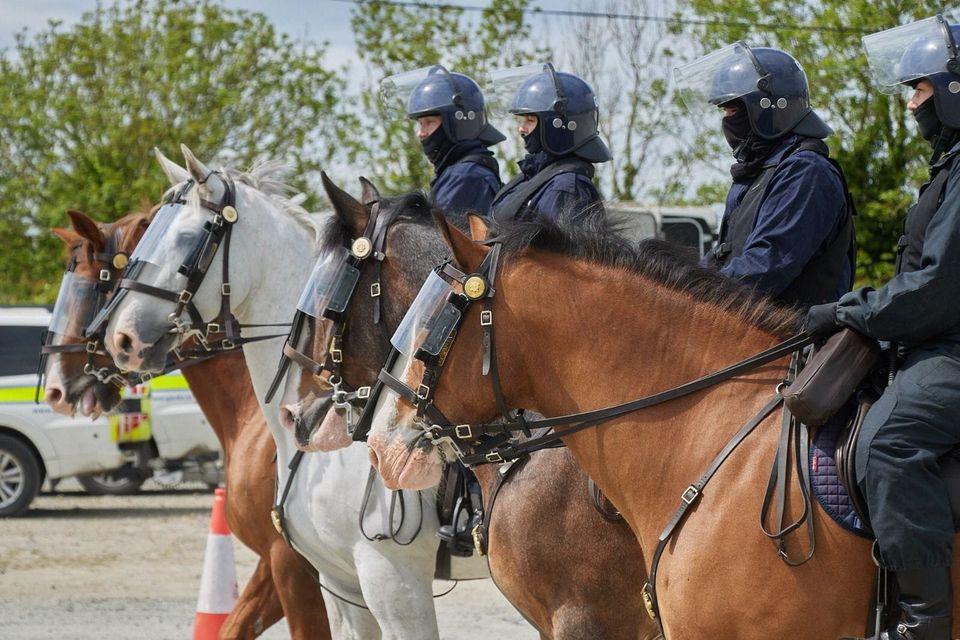 The Wexford and Wicklow recruits were required to train alongside the Garda National Mounted Support Unit.