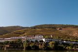 thumbnail: Vineyards along the Douro River, Portugal. PA Photo/Sarah Marshall.