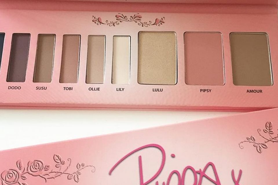 CLOSED WIN Two Pippa Palettes for Blank Canvas Cosmetics