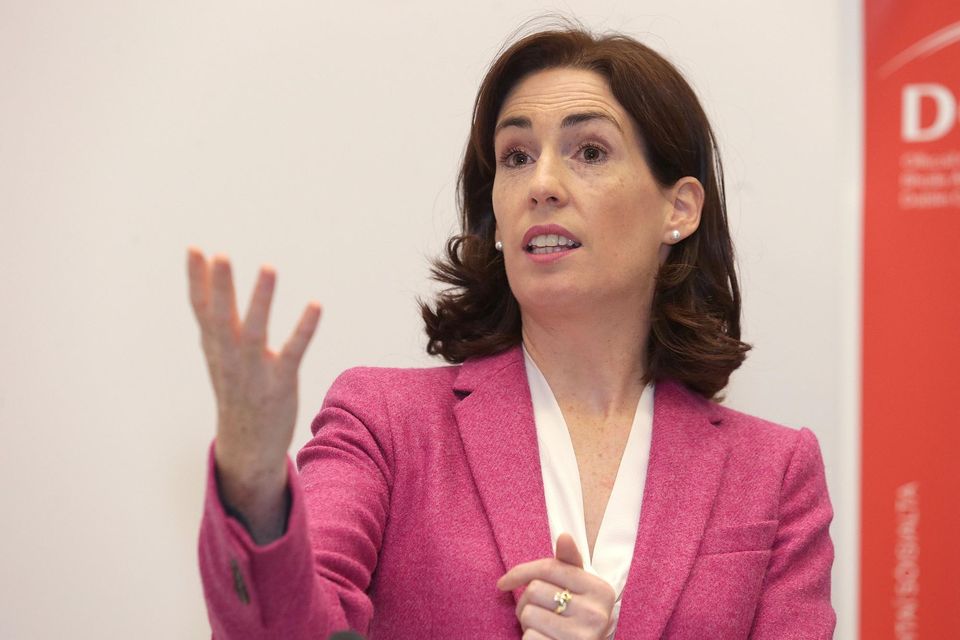 Minister for Public Health, Wellbeing and the National Drugs Strategy, Hildegarde Naughton.