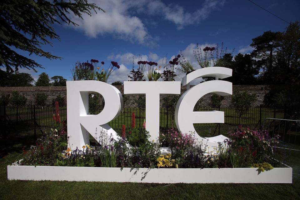 Pro-Palestine protesters entered a BBC building in Belfast and the RTE campus in Dublin (PA)