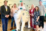 vignette: Dublin GAA star Shane Carty and rugby legend Brent Pope have unveiled a brand new 'Elephant in the Room' sculpture in Baldoyle.