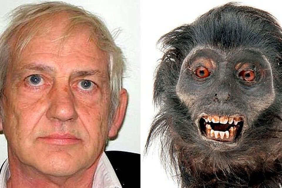 Man sentenced for selling monkey heads on the web and possessing  