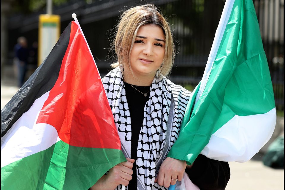 Noelle Nasar from Howth outside Leinster House.  Photo: Steve Humphreys