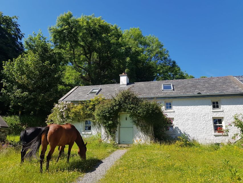 The couple's beautiful home on Kilranelagh Hill, near Baltinglass.