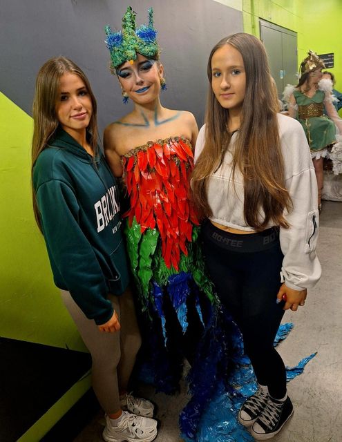 Resplendent by Willow Gleeson, Kelly Morgan and Hannah Farrel, of Borrisokane Community College, was inspired by the endangered bird, the Resplendent Quetzal from South America