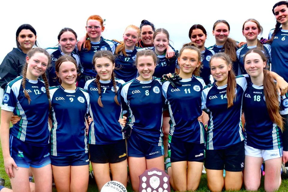 The Coláiste Ráithín team who won the Wicklow Schools Junior 'B' Cup after defeating St. David's of Greystones in the final in Ballinakill on Tuesday afternoon.