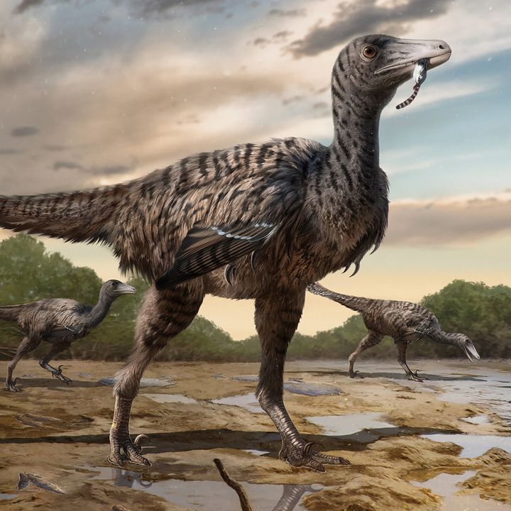 Velociraptors from Jurassic Park dwarfed by giant new discovery