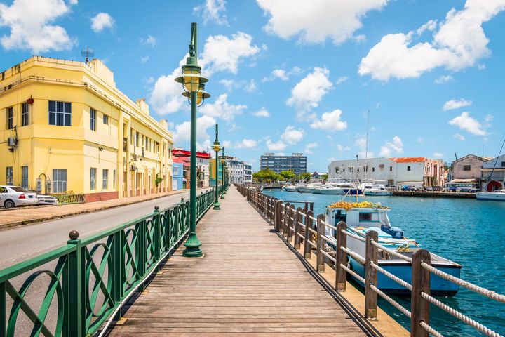 ‘The Irish were sold as indentured servants’ – the story of the ‘Black Irish’ from Barbados airbrushed from our history books