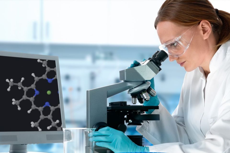 The database is based in Forensic Science Ireland in the Phoenix Park (Stock photo)