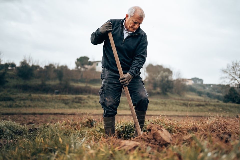 I’m worried he’ll develop dementia and forget where it's buried. Photo: Getty