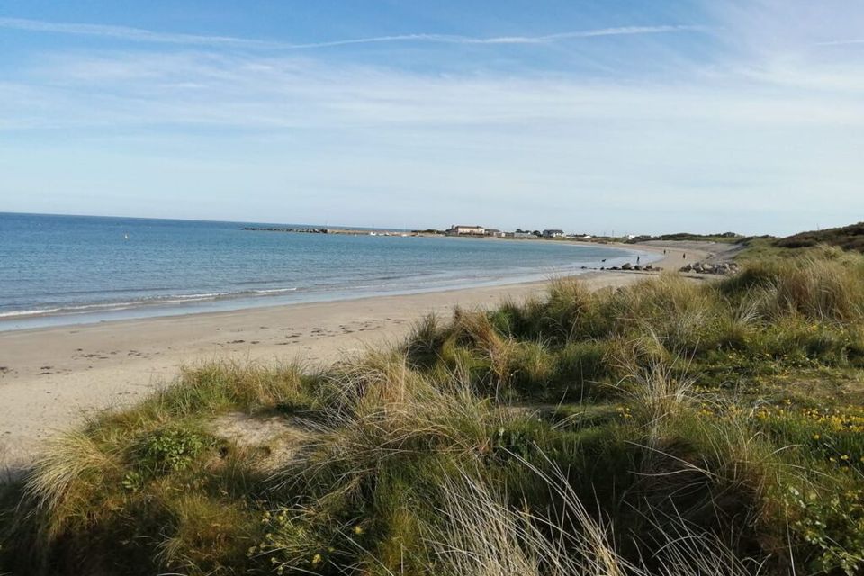 St Margaret's beach in south Wexford.