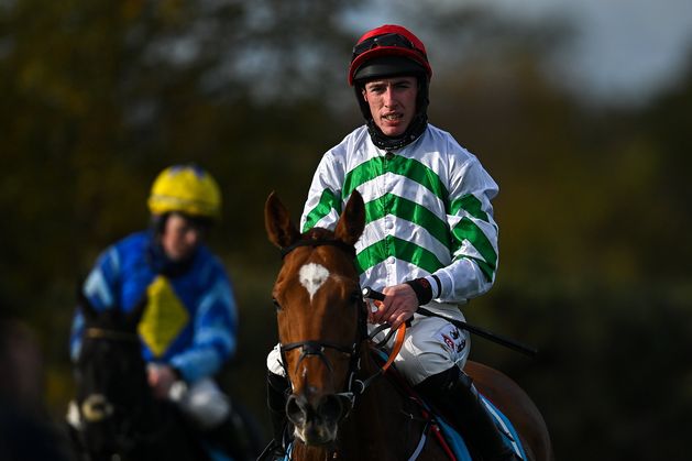 优雅的 Zanahiyr 可以掠夺 Kerry National 以获得 Gordon Elliott 和 Jack Kennedy 优雅的 Zanahiyr 可以掠夺 Kerry National 以获得 Gordon Elliott 和 Jack Kennedy