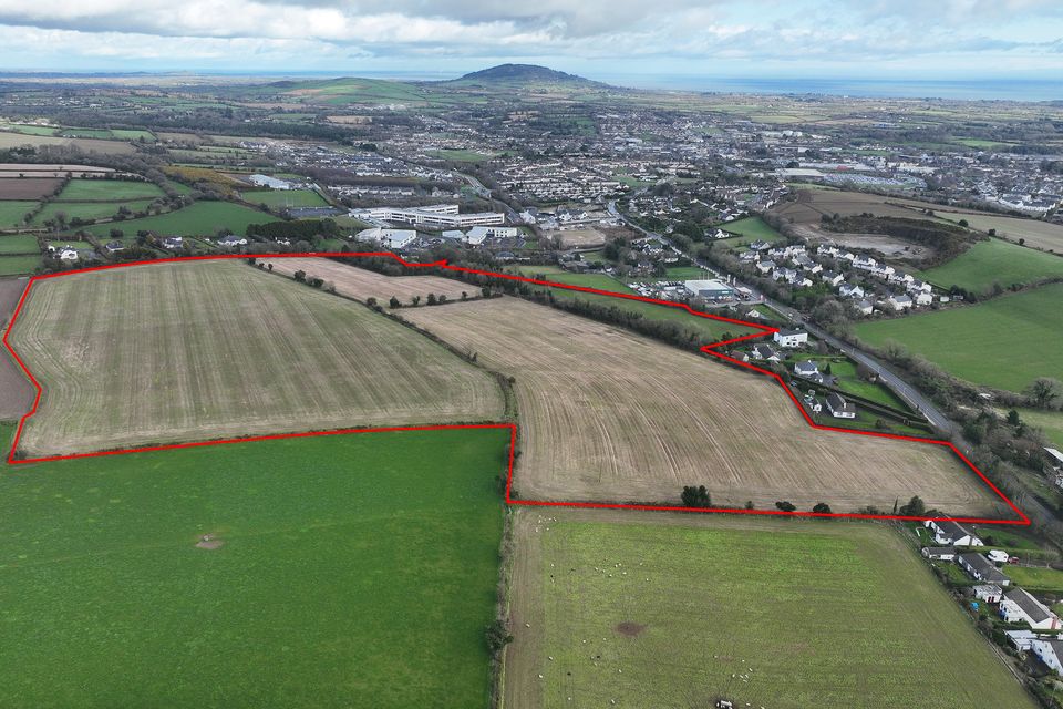 Gerry Gannon seeks €3m for Gorey residential site Irish Independent