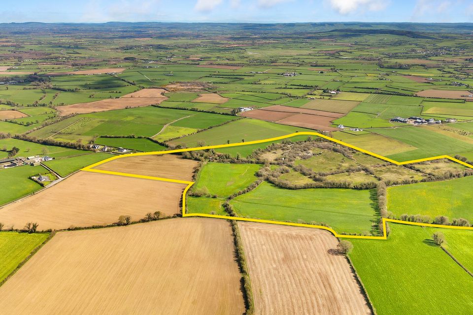 Options: The 88ac farm at Srah, Rathdowney, Co Laois is suitable for tillage or grazing.