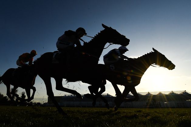 Horse Racing Ireland ‘deeply shocked and appalled’ following RTE investigation