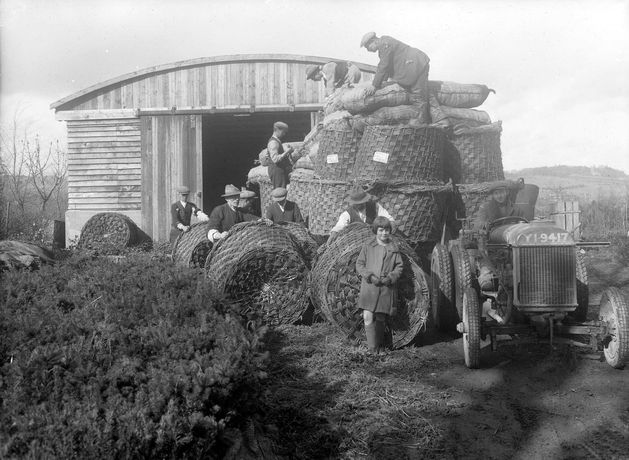 Richly illustrated 'The Story of Us' provides a snapshot of a very different Ireland from Census 1926