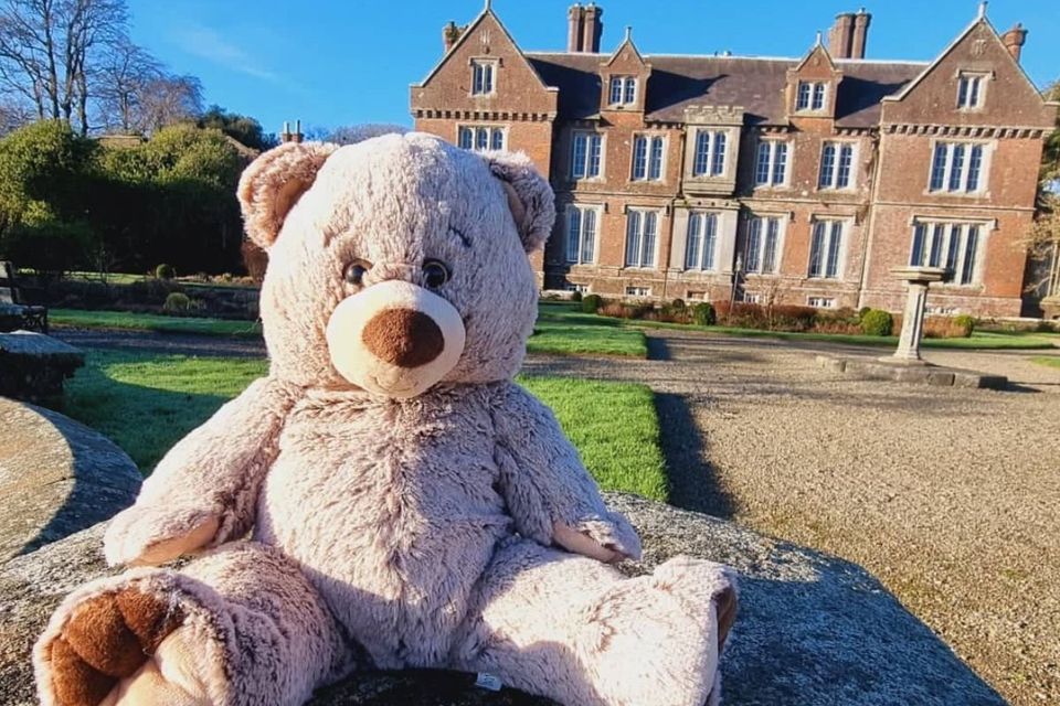 Wells House and Gardens will host a Teddy Bear's Picnic on Sunday, May 5.