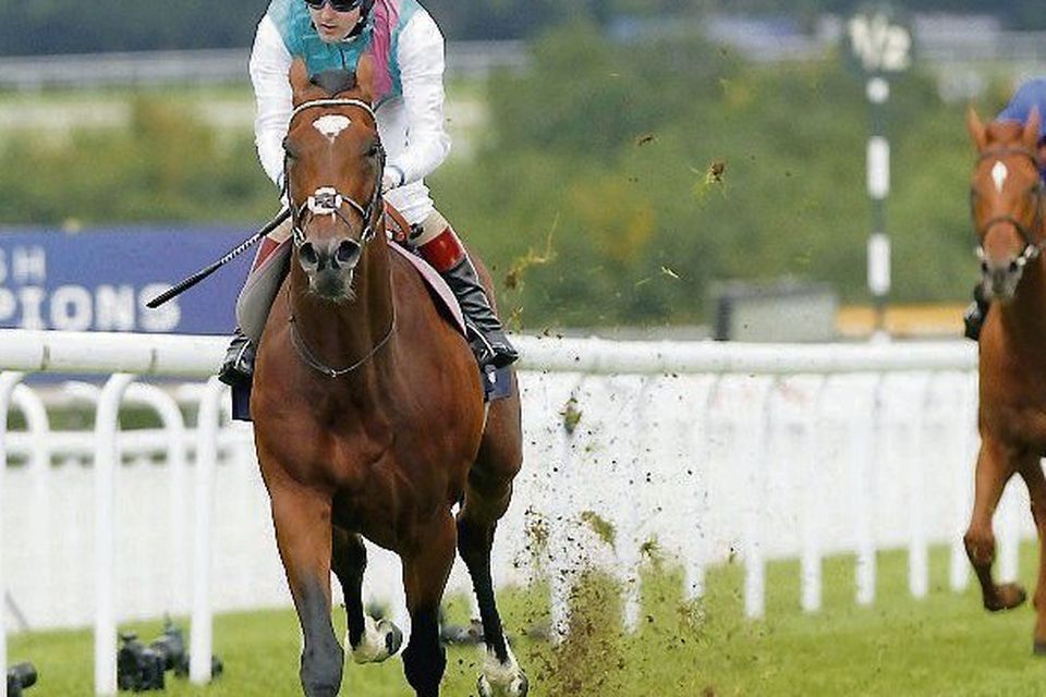 Frankel, with Tom Queally up. Picture: Andy Robinson / SPORTSFILE