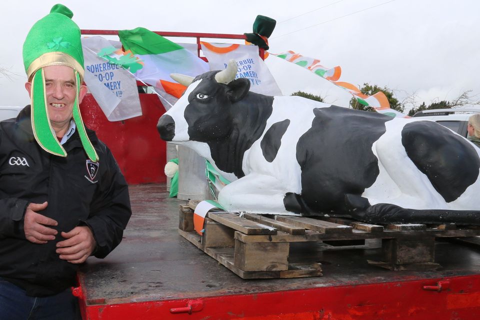 Johnny Lane was manning the Boherbue Co-Op Float at the Boherbue St. Patrick's Parade. Photo by Sheila Fitzgerald
