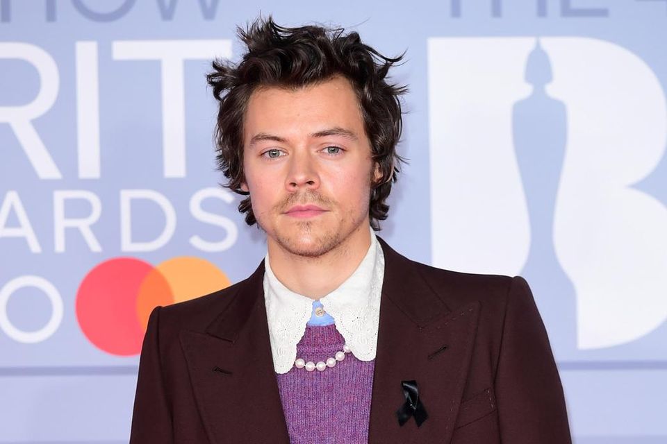 Harry Styles Stalker ‘breaks Into His Home And Assaults A Woman Independentie 9271