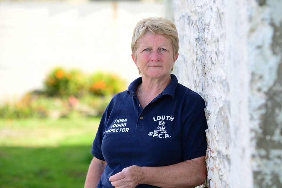 Fiona Squibb, former ISPCA chairperson. Photo: Ciara Wilkinson