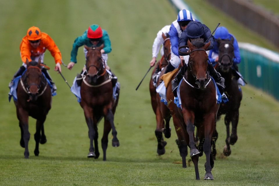 Ryan Moore riding Air Force Blue  to  win the 2015  Dewhurst Stakes at Newmarket racecourse on October 10, 2015 in Newmarket, England Photo: Alan Crowhurst/ Getty Images