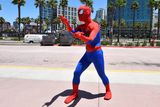thumbnail: A fan dressed as Spiderman practices his moves outside of the convention center on day 1 of the 2014 Comic-Con International Convention held Thursday, July 24, 2014 in San Diego