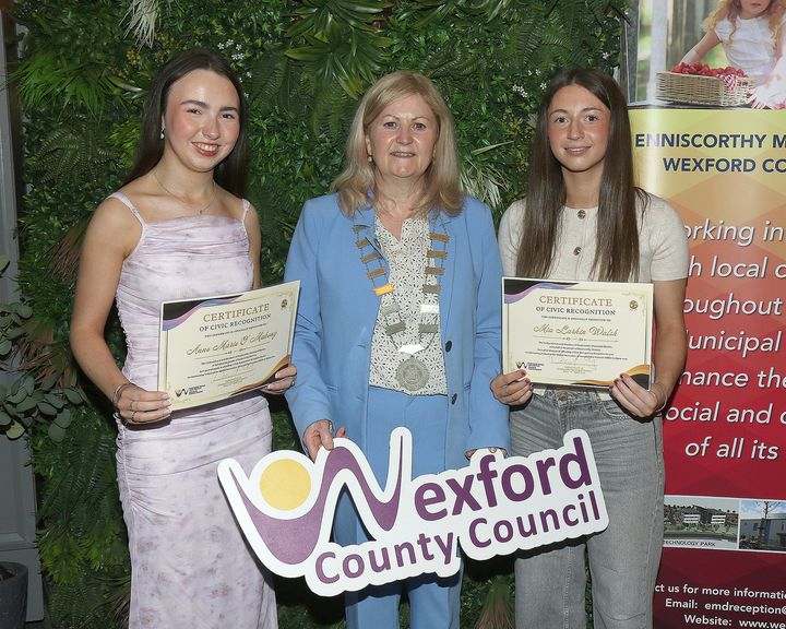 Enniscorthy civic awards honour local heroes, champions and community groups