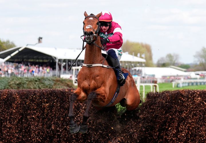 Willie Mullins’ Gold Dancer suffers fatal injury in Aintree after victory under Paul Townend