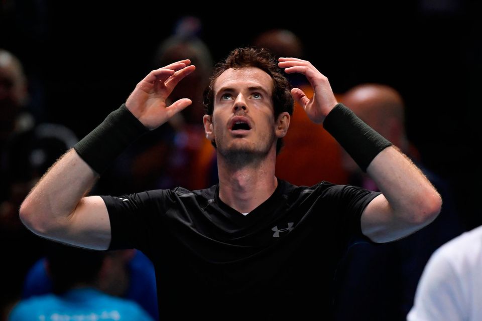 Andy Murray celebrates winning the final against Serbia's Novak Djokovic Picture: Reuters