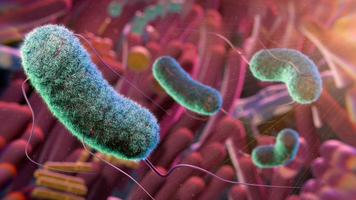 Early signs of Parkinson’s ‘seen in the gut’, study finds