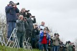 thumbnail: Aircraft spotters at Dublin Airport. Photo: Maxwells