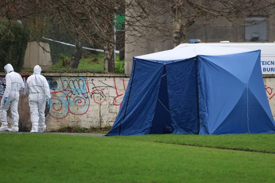 Bray stabbing death: Man killed in playground had arranged ‘straightener’ before he was attacked, gardaí believe