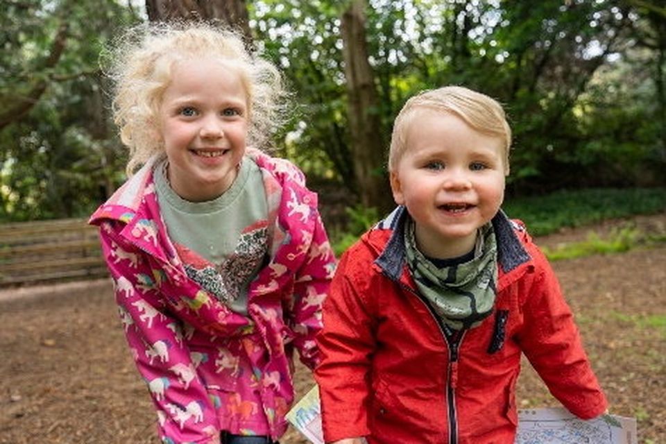 Children explore the new family forest trail at Avoca, in Kilmacanogue. Photo: courtesy of Avoca.