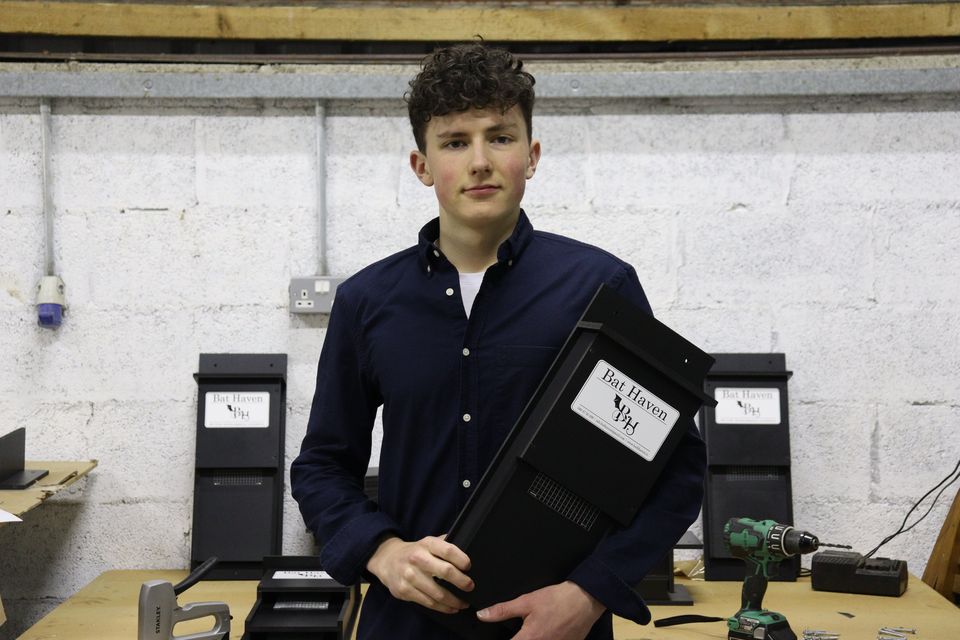 Kildare student and owner of 'Bat Haven', Rory Cummins.