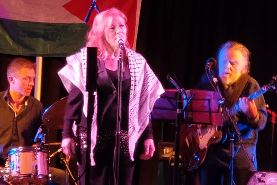 Honor Heffernan performing with the Devil's Spine Band at the Oíche don Gaza: Palestine Fundraiser Concert organised by Ireland Palestine Solidarity Campaign (IPSC) and Irish Artists For Palestine in the Ashdown Park Hotel, Gorey.