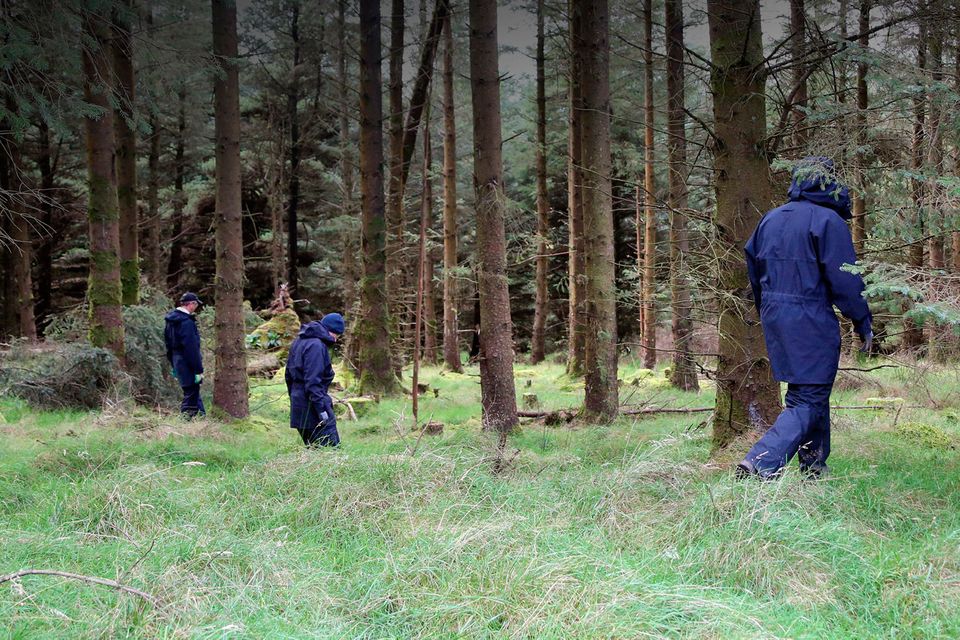 Gardaí search a wooded area on Ballinascorney Hill where the body of Michael McCoy was found last September Picture: Collins