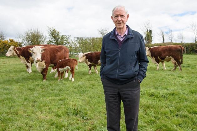 Meet the former dairy advisor from Cavan breeding bulls for Ireland’s dairy-beef industry