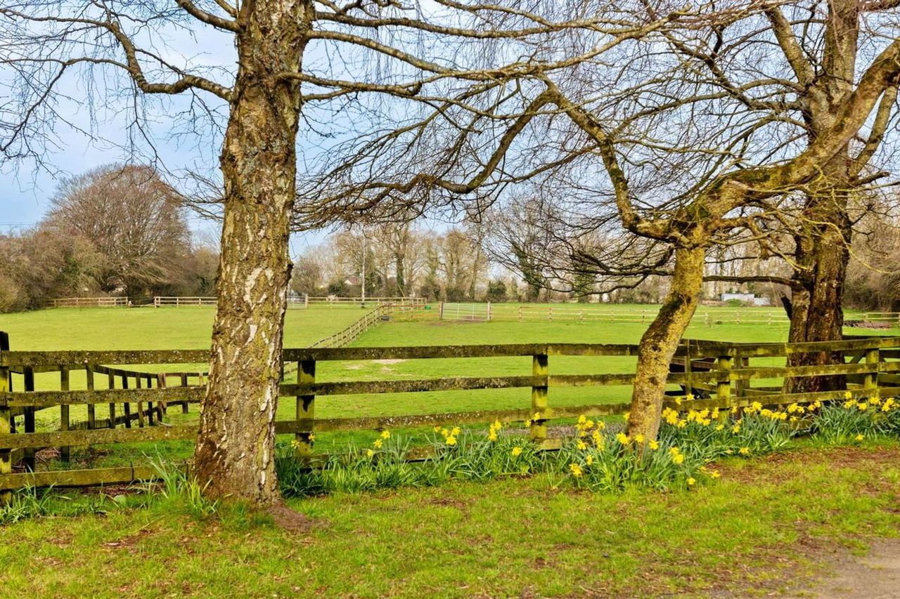 See inside an equestrian’s paradise on the market in Co Kildare for € ...