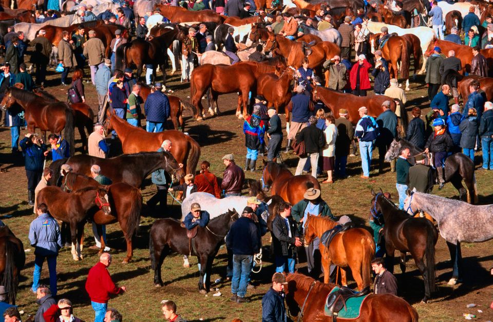 Ballinasloe Horse Fai. Photo: Getty