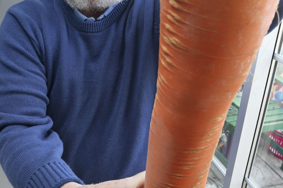 Harry Crawley, pictured with his five foot seven pound Carrot at his Walkinstown home yesterday