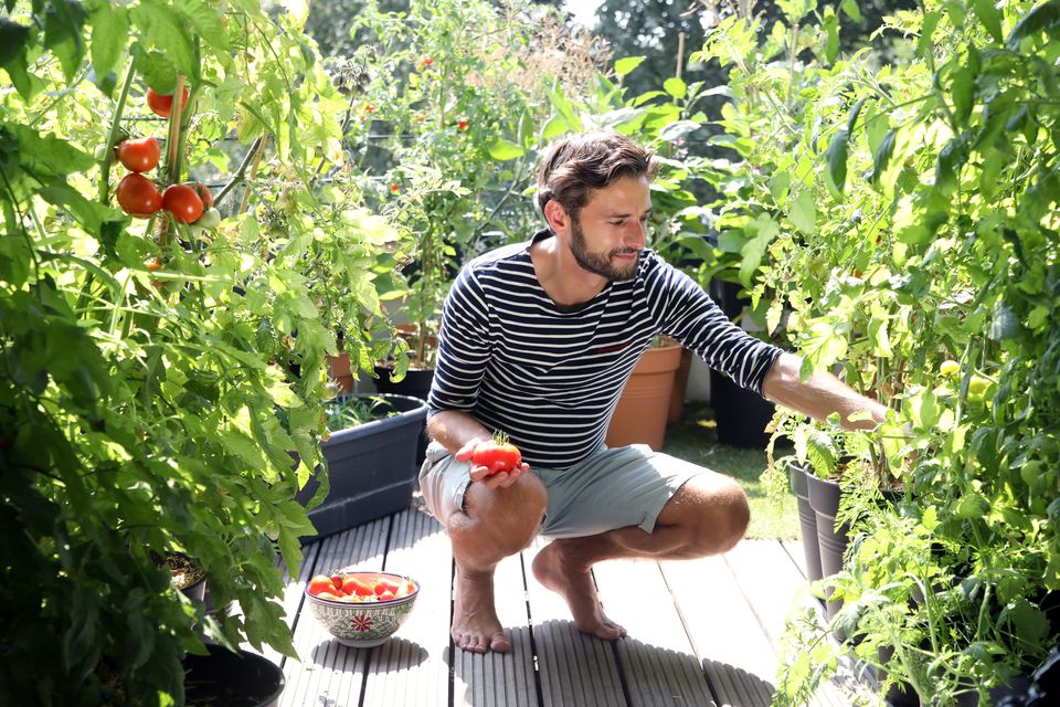 Patrick Vernuccio, aka @thefrenchiegardener, in his balcony garden in Berlin. Photo: Sabine Gudath