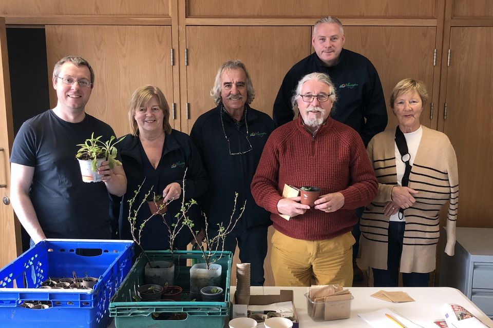 The plant swap team in place at Blessington Library, including Dónal McCormack, Chairperson of Blessington Allotments Campaign (far left) and Jason Mulhall, Chairperson of Blessington Tidy Towns (Back row, second from right).