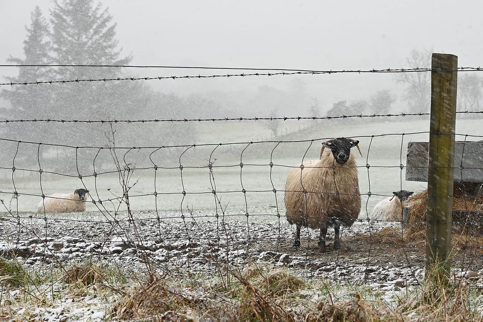 Some snow and sleet is expected on higher ground this week, Met Éireann has said