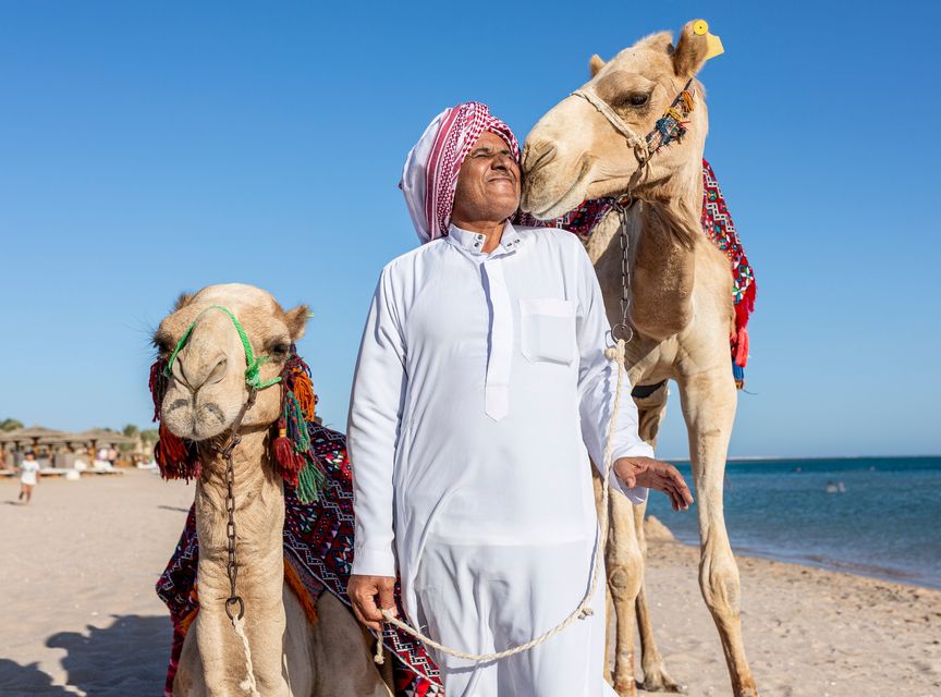 A Bedouin man with camels on the beach