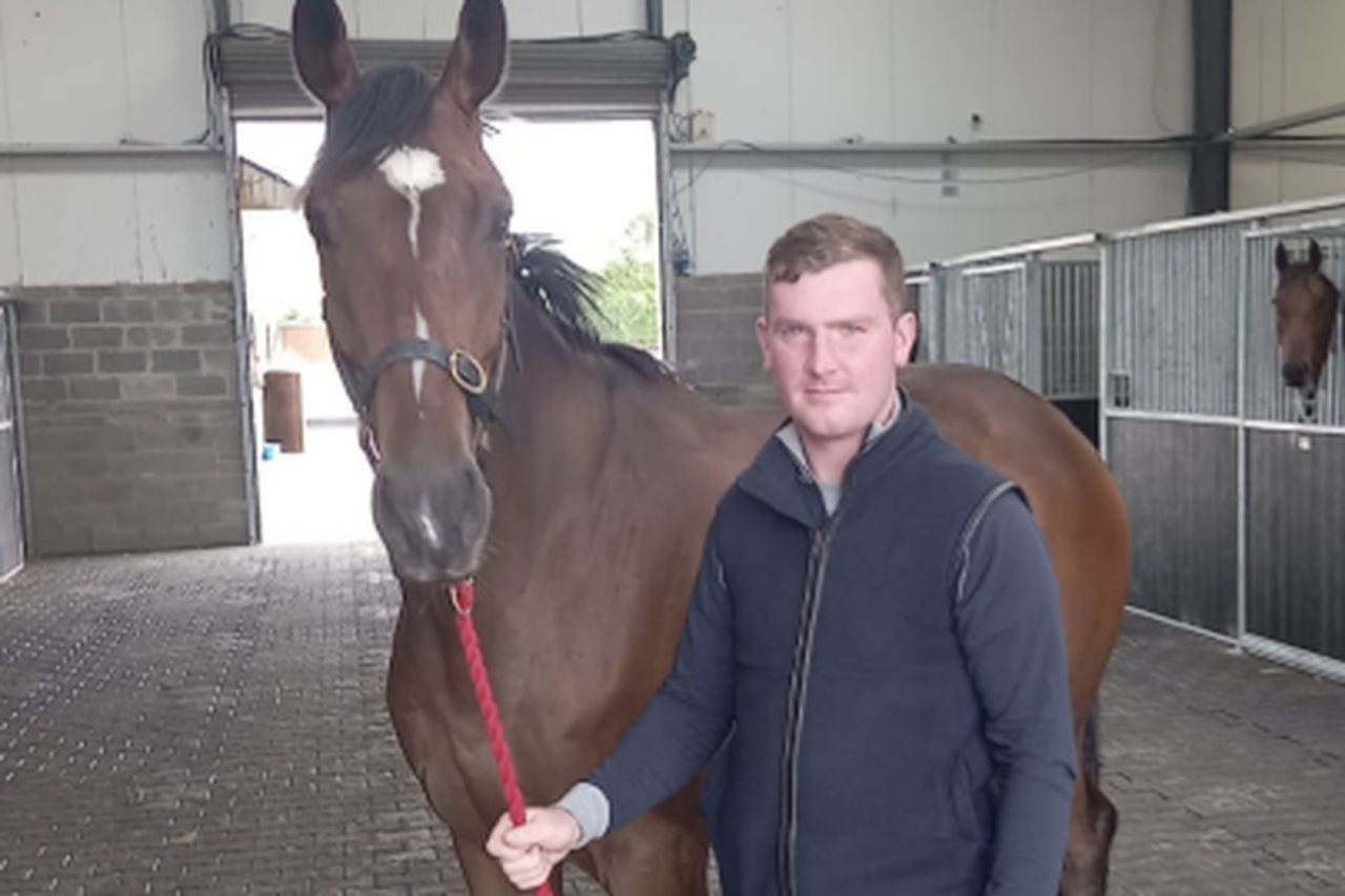 Kerry horse trainer Cian Collins on his first win – ‘It felt more like ...
