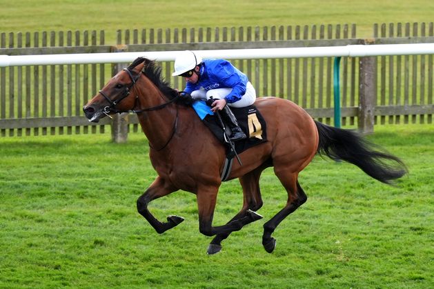 Wayne Bailey: Charlie Appleby’s Maho Bay has the pace to pass his Derby Trial test at Lingfield