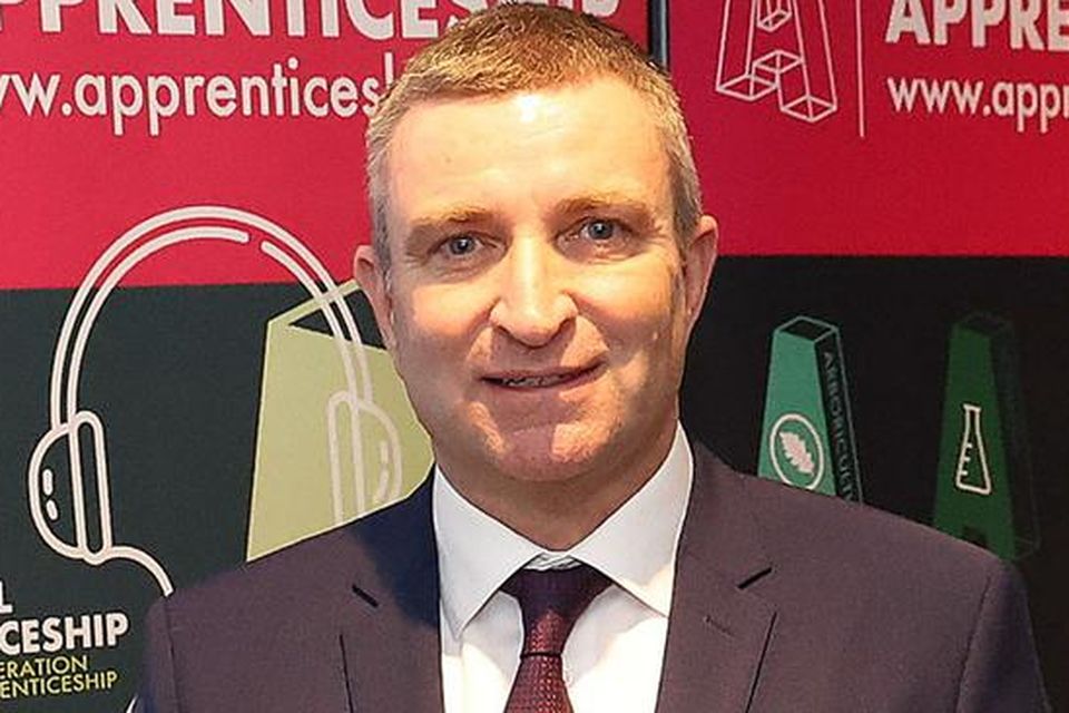 Fianna Fáil Minister Niall Collins. Photo: Damien Eagers